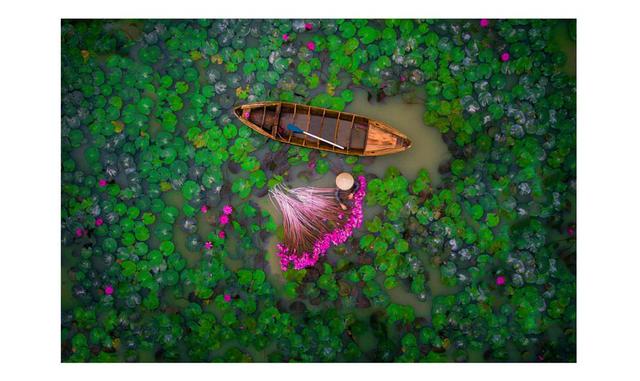 Gente. Segundo premio: Waterlily de helios1412