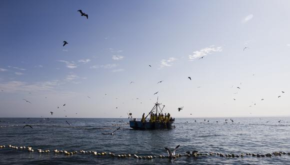 Mañana concluye la temporada de pesca de jurel. (Foto: GEC)