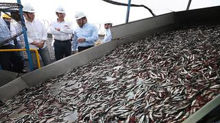 Produce: Pesca creció 52% en junio por un mayor desembarque de anchoveta y mayores días de pesca