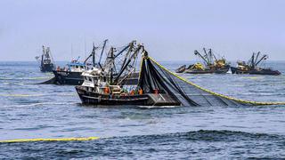 Perú exportará este año 20% más en pesca y acuicultura para CHD respecto al nivel prepandemia