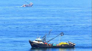 Produce pone fin a primera temporada de pesca de anchoveta