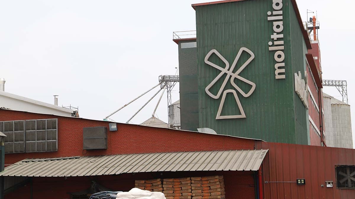 Molitalia destina recursos a ampliar fabricación de este producto en planta de Los Olivos