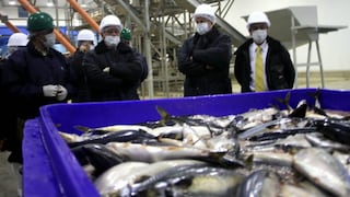 China Fishery: Fijan precio mínimo para venta de activos en US$ 1,200 millones