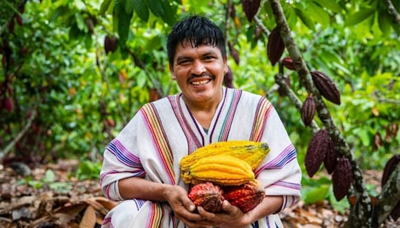 Productores de cacao elevan sus ganancias ante mayor demanda del grano. Foto: gob.pe