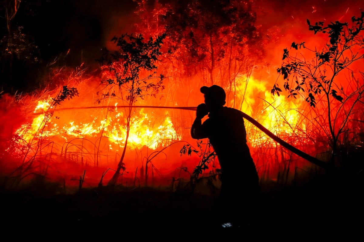 Un bombero de la Agencia Regional de Gestión de Desastres sofoca un incendio forestal en la aldea de Sungai Rambutan, en Ogan Ilir, Sumatra Meridional, el 11 de septiembre de 2026. (Foto: SIGIT PRASETYA / AFP)
