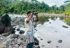 Perú busca volver a liderar el mayor conteo mundial de aves