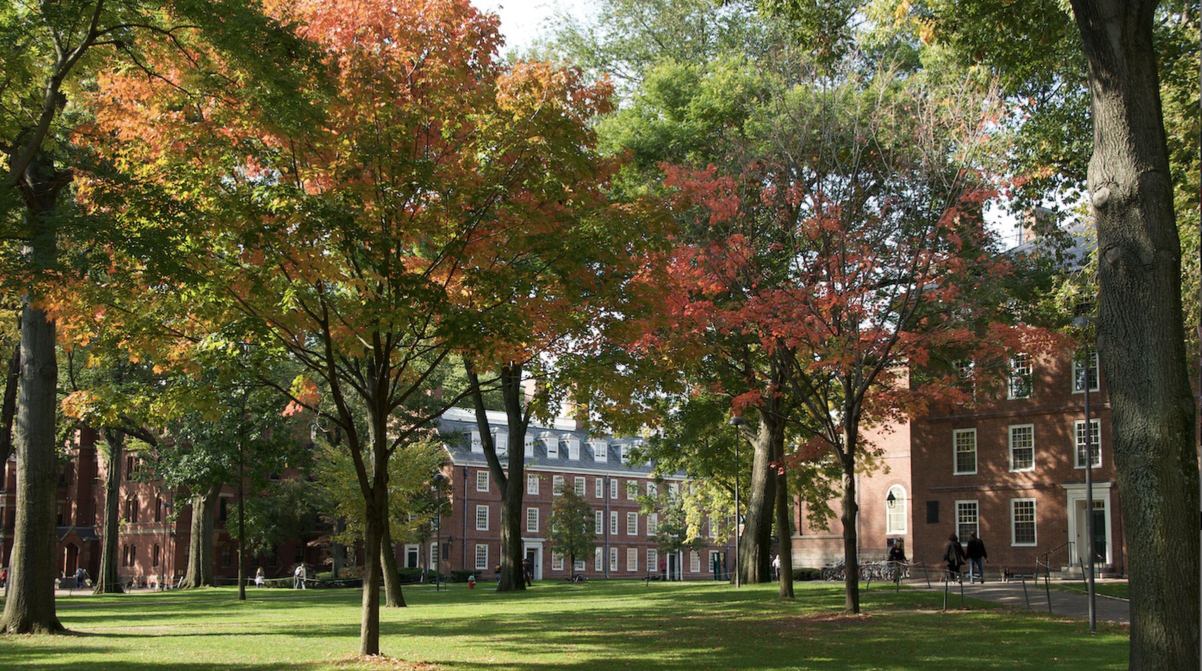 Harvard tiene estudiantes de todas partes del mundo (Foto: Harvard)