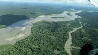 Perú identifica más de 6 millones de hectáreas de bosque listas a concesionar, ¿dónde se ubican?