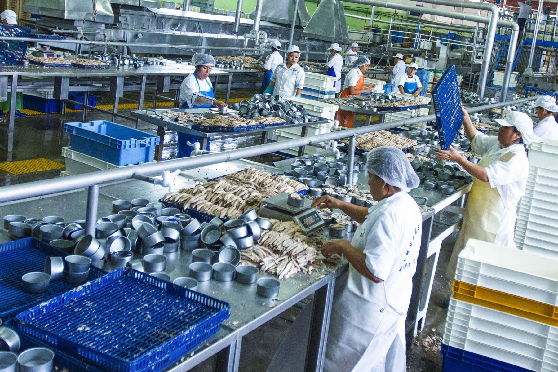 Es necesario tener en cuenta las industrias que crecieron de manera sostenida durante estos últimos 12 meses, dijo Produce. (Fuente: Andina)