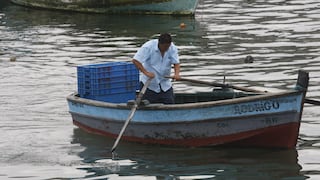 TASA dona 16 toneladas de alimentos y canastas con víveres a pescadores artesanales
