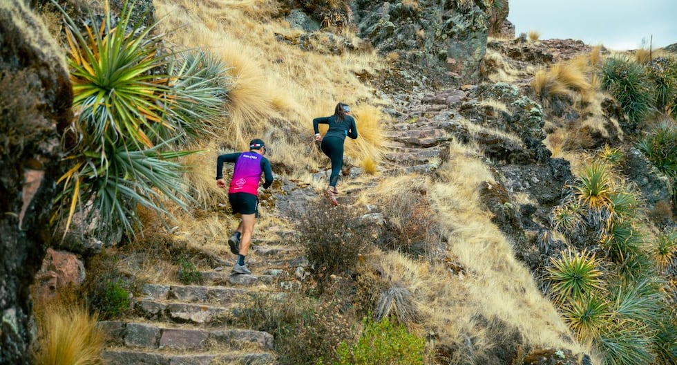 Camino Inca: detectan perjuicio de S/ 3.6 millones por error en venta ...