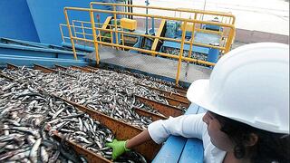Produce suspende la pesca de bacalao de profundidad hasta fin de año