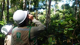 Amazonía: Cuatro tecnologías IA que ayudan a proteger la selva de Brasil