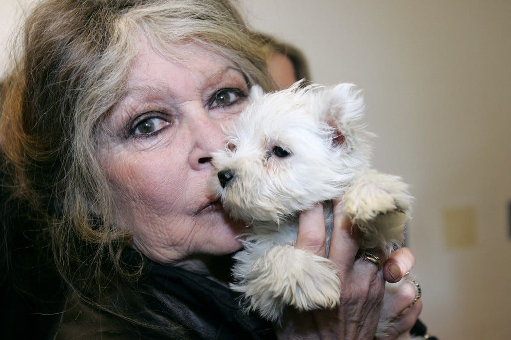 La actriz francesa y activista por los derechos de los animales, Brigitte Bardot, en una perrera de Niza (sur de Francia), con uno de los 143 cachorros incautados por agentes de aduanas en una furgoneta húngara, el 28 de diciembre de 2005. (Foto de Valery HACHE / AFP)