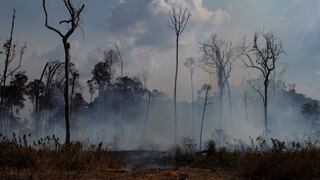 Protección de la Amazonía separa a agricultores y operadores