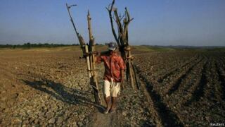 Minagri: Acciones de prevención por presencia de sequías en 18 regiones del país
