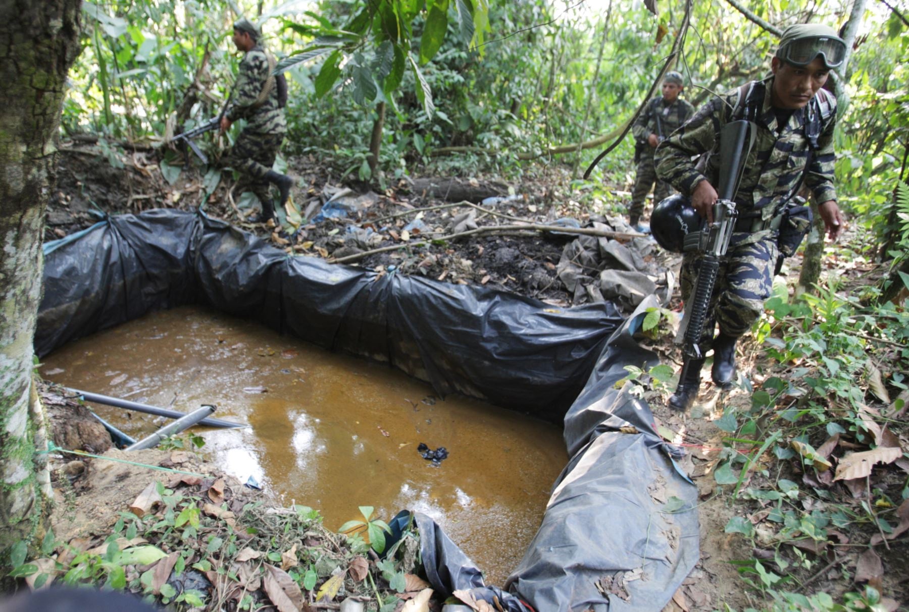 No todos los eslabones ganan lo mismo: mientras el cultivo y la primera transformación reciben una fracción, los mayores márgenes se concentran en los tramos finales de comercialización internacional. (Foto: Andina)