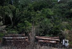 Serfor: proyecto que modifica Ley Forestal y de Fauna puede afectar los bosques y Amazonía