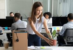 Cuatro tips para desarrollarte con éxito en tu primer empleo