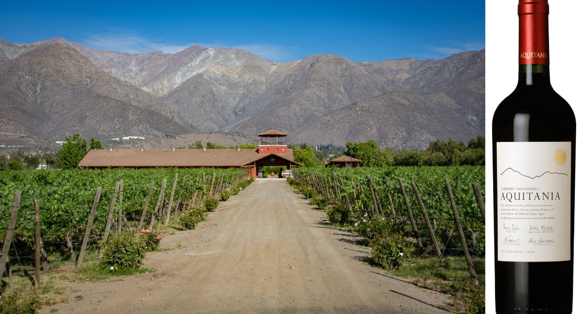 "El Maipo Alto es, quizá, el rincón más noble para el Cabernet Sauvignon en Sudamérica. Aquí, el suelo es coluvial: piedras arrastradas por milenios desde las altas cumbres, depositadas con una irregularidad perfecta".