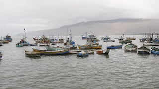 ONU critica que pocos países ratifiquen normas para empleo decente en pesca