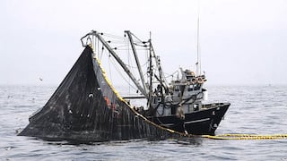 Disponen nueva veda de anchoveta y pesca industrial se estanca