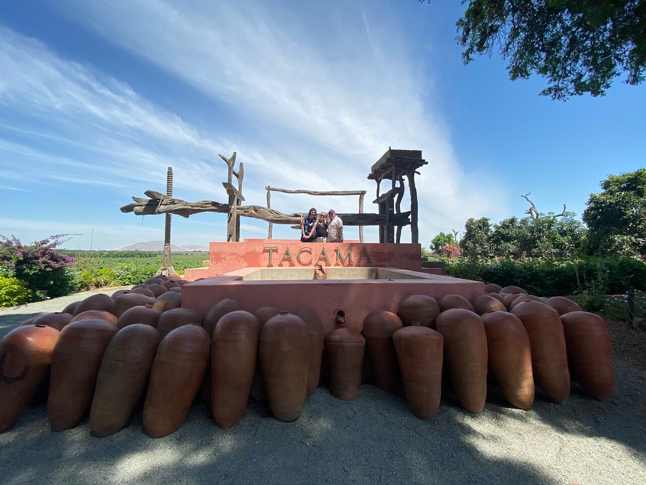 Entre el 2010 y 2020 Surge un interés genuino por las cepas surge un interés por el Pinot Noir, la Garnacha y las cepas blancas no convencionales, como el Albariño o el Riesling.// Foto: José Bracamonte