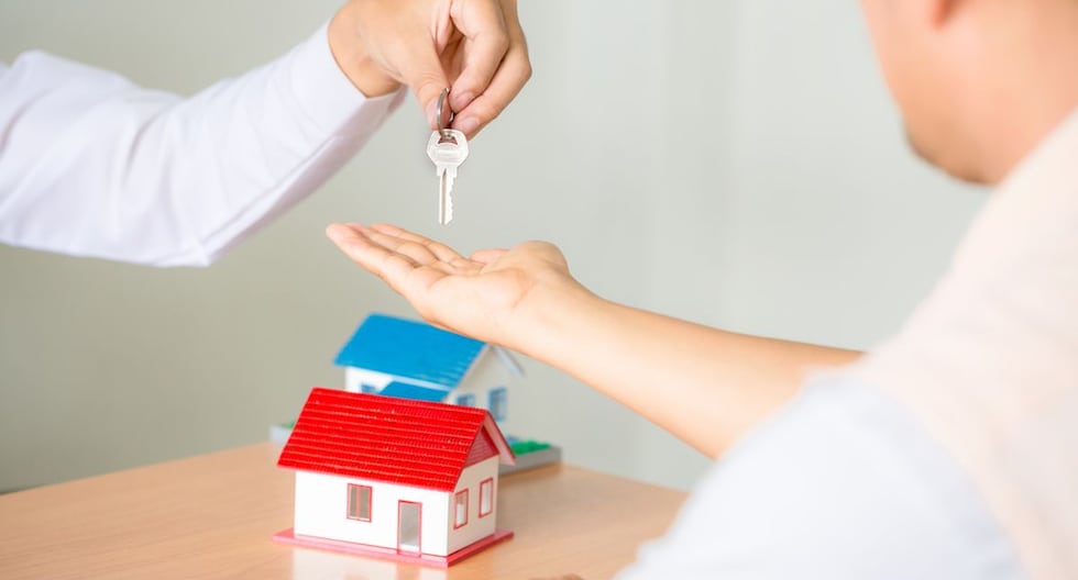 Vivienda en San Borja y Jesús María: cuándo se obtienen ganancias