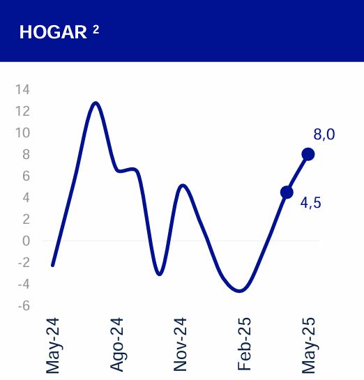 (2) Incluye decoración y muebles, jardinería, lavandería, mantenimiento de casa, y alquiler.
Fuente: BBVA Research, mayo 2025
