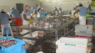 SNI insiste en permiso de pesca de anchoveta para consumo humano ante demanda europea