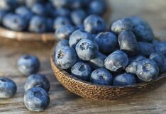 Agrícola Don Ricardo: “En arándanos hemos tenido mejores rendimientos de lo esperado”