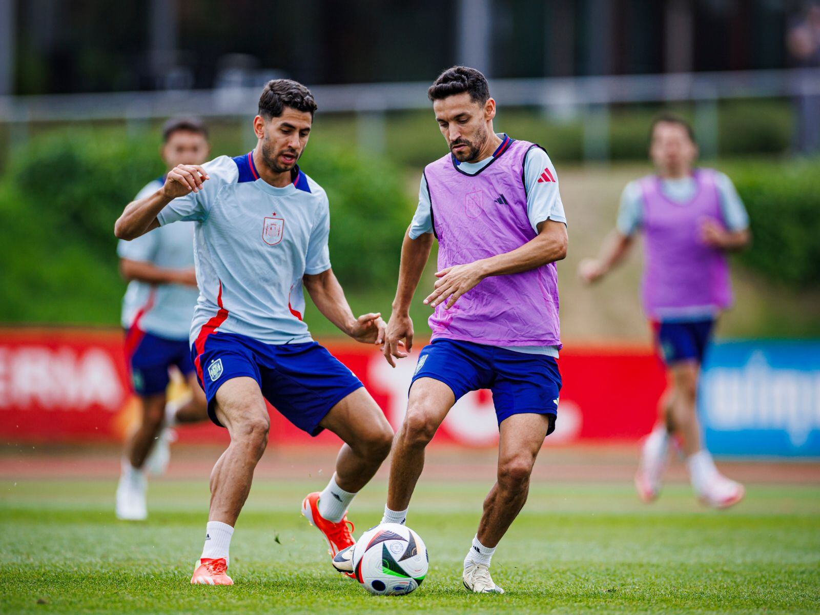 España - Irlanda del Norte: horario, dónde ver online TV, alineación, canal del partido en vivo amistoso Eurocopa 2024 | Foto: Selección de España / @SEFutbol