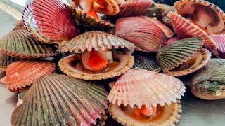 Acuapesca concreta ingreso de conchas de abanico a Paraguay y se acerca a Argentina