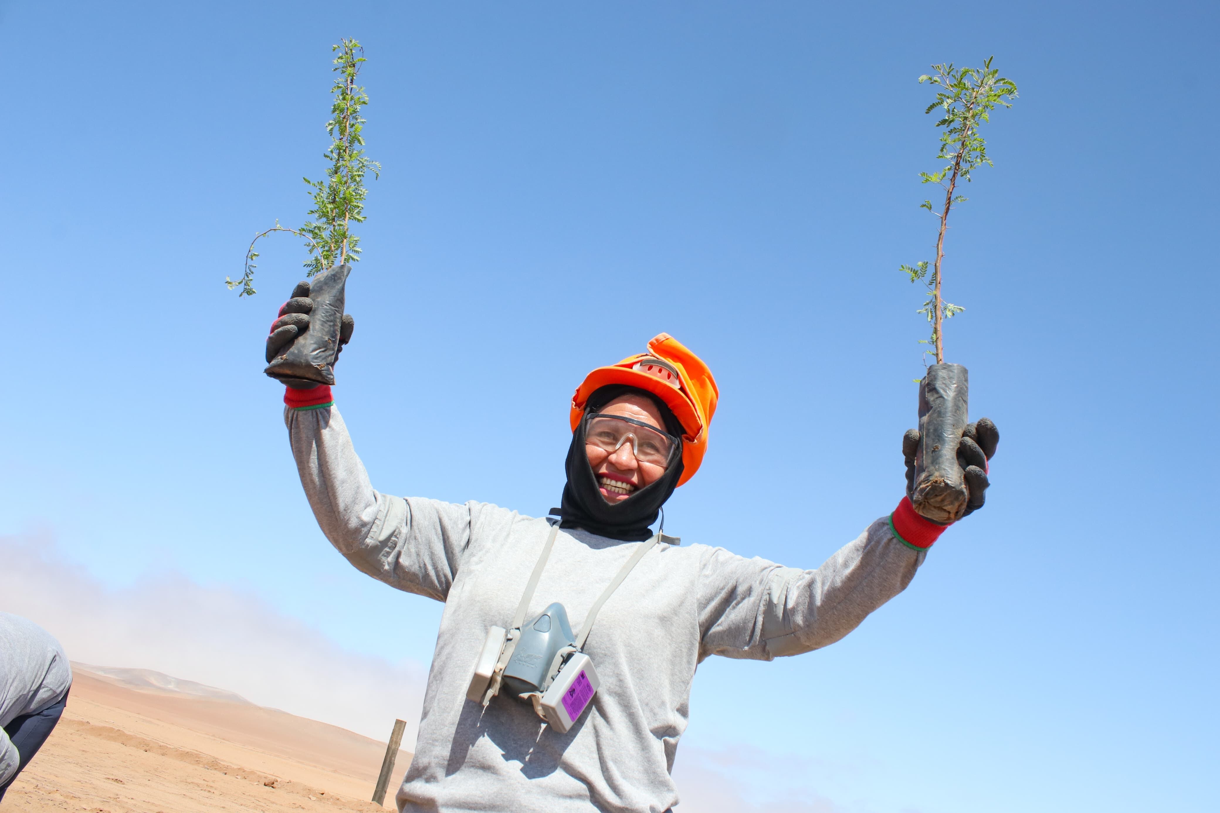 Foto: Southern Perú