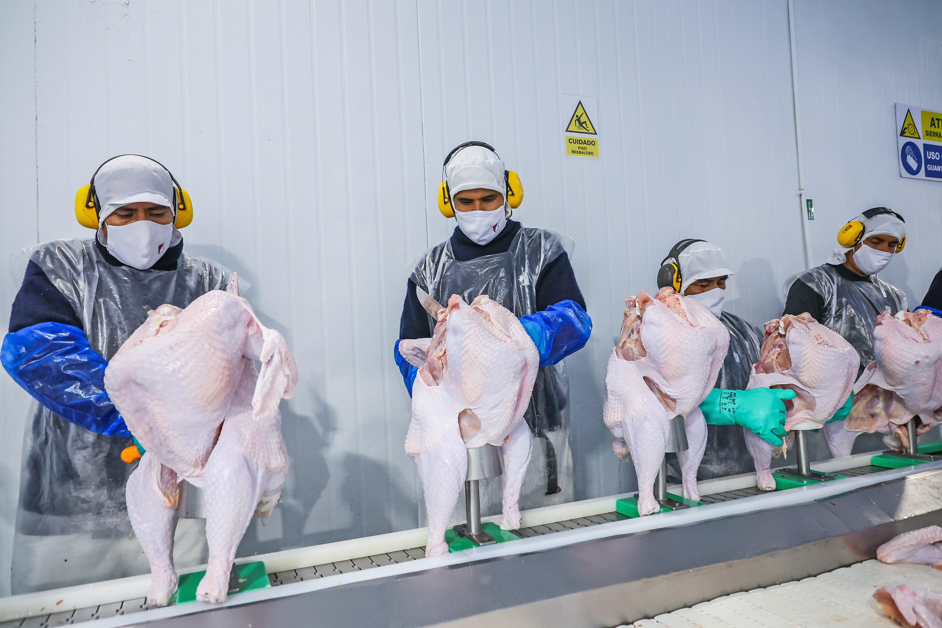 Perú diversifica exportaciones con carne de ave y cerdo a Singapur. (Foto: Midagri)