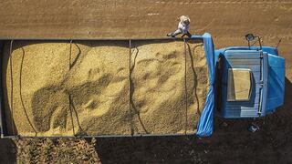 The Economist: ¿Puede Brasil ayudar con la escasez de alimentos en todo el mundo?