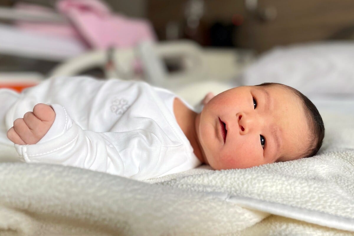 Se trata de una de las proezas más extraordinarias de la biotecnología. Hazaña que no solo se destaca por la avanzada capacidad tecnológica de este laboratorio, sino que también refleja el legado de perseverancia, visión y ética familiar. Foto: Difusión.