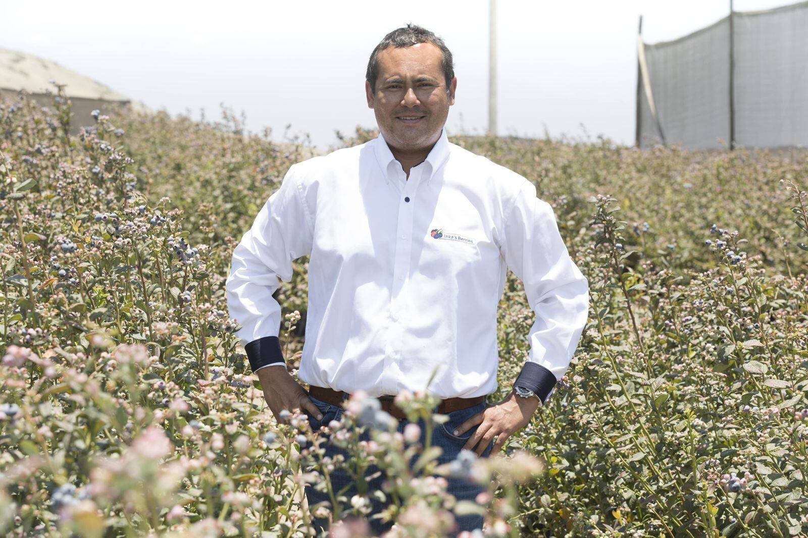 Carlos Gereda, presidente de Inka’s Berries, proyecta facturar US$ 26 millones en la campaña 2023-2024. (Foto: Difusión)