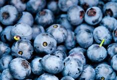 Arándanos argentinos sacan ventaja de caída en productividad de Perú