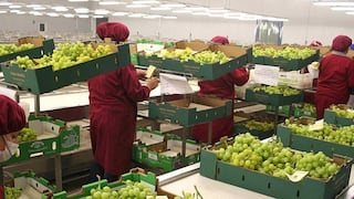 Perú rompe récord de exportaciones de frutas a Japón, ¿cuáles son los productos estrella?
