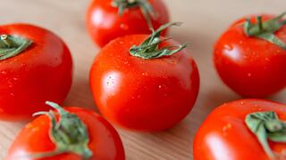 Amplían requisitos fitosanitarios para importación de semillas de tomate: ¿de qué países?