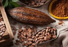 Priorizan 26 cadenas productivas para mejorar competitividad de la región San Martín