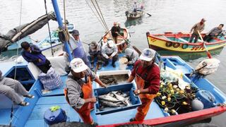 Produce publicó manual para promover la constitución y el manejo de cooperativas pesqueras