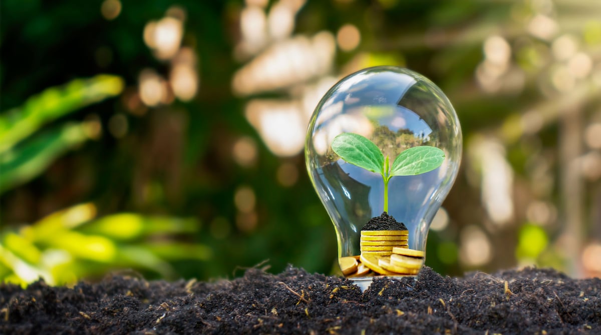 Las soluciones basadas en la naturaleza permiten responder a desafíos como la mitigación y adaptación al cambio climático, y generar oportunidades de negocios para las empresas.