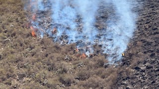 Autoridades atienden 13 incendios forestales en siete regiones del país, ¿en dónde?