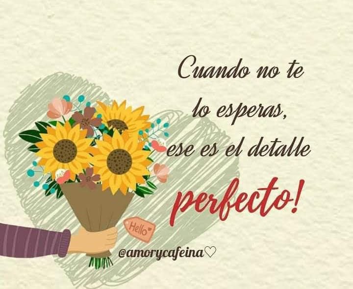 Este sábado 21 de marzo inicia la primavera en México y Estados Unidos, una fecha donde muchas personas regalarán flores amarillas a sus parejas (Foto: Canva.com)