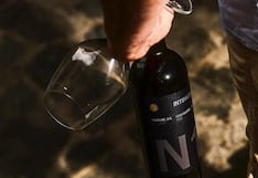 Intipalka de Santiago Queirolo amplía cultivos de uvas con miras a crecer en el exterior