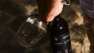 Intipalka de Santiago Queirolo amplía cultivos de uvas con miras a crecer en el exterior