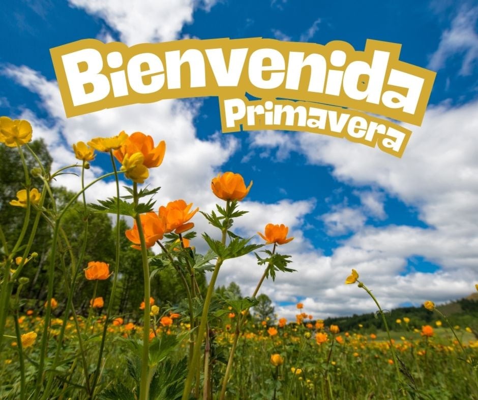 Este viernes 21 de marzo inicia la primavera en México y Estados Unidos, una fecha donde muchas personas regalarán flores amarillas a sus parejas (Foto: Canva.com)