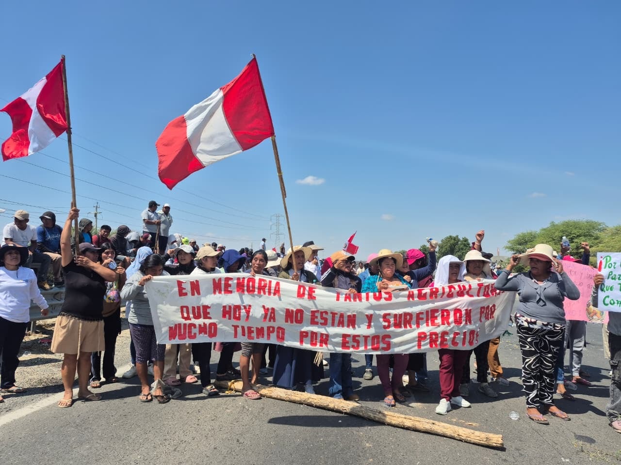 Manfiestantes han bloqueado diversos tramos en regiones arroceras como San Martín, Arequipa y Piura. Foto: difusión